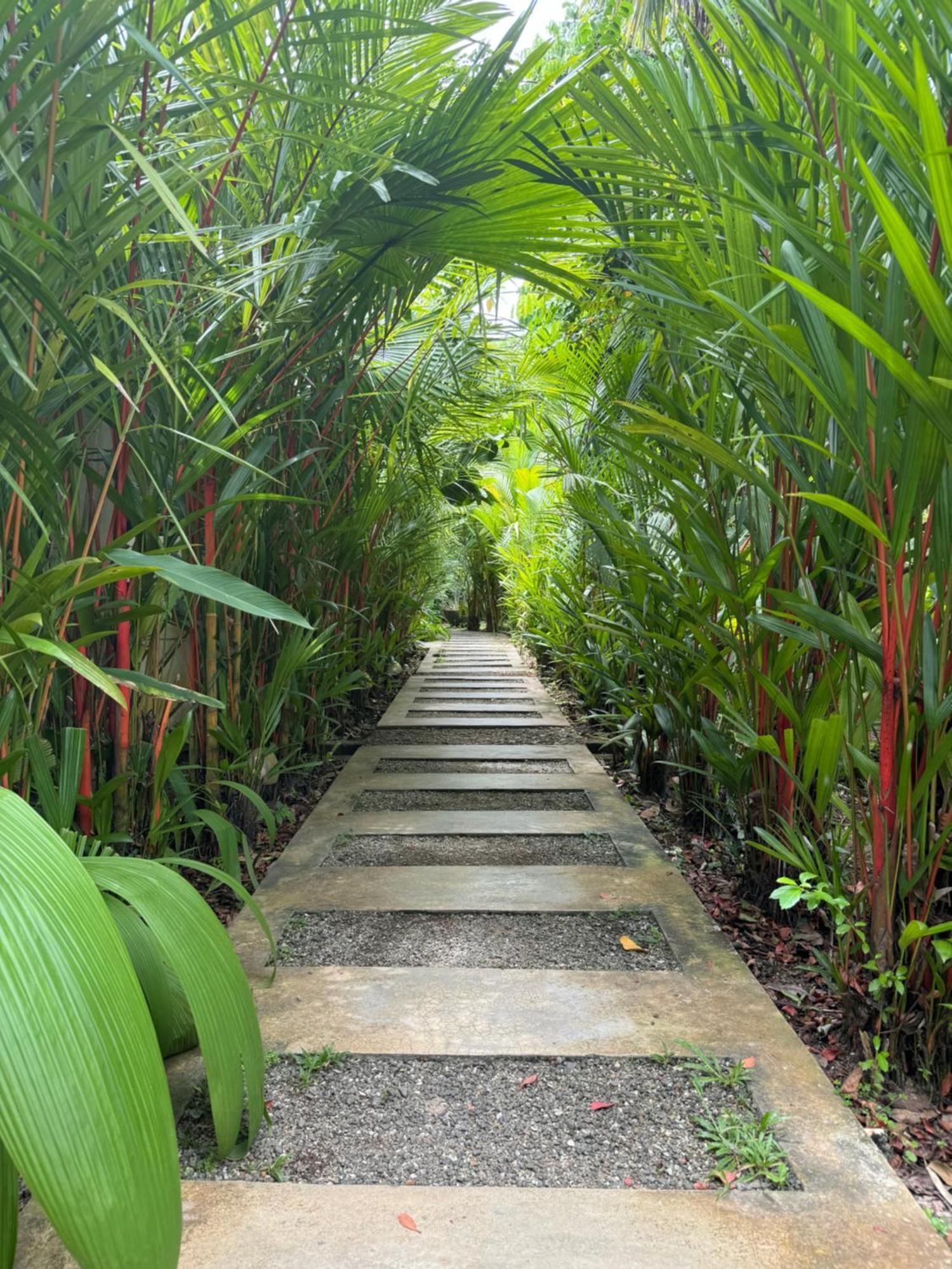 Ginganga Lodge Galle Luaran gambar