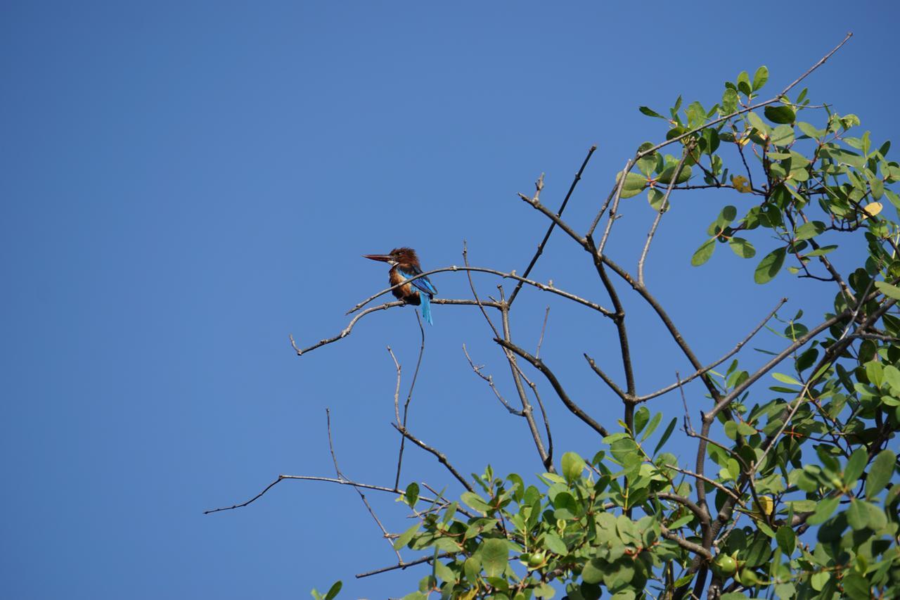 Ginganga Lodge Galle Luaran gambar